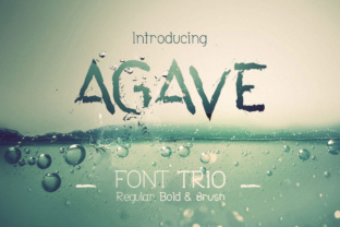 Agave Font Trio: A Stylish Display Font Set for Small Business Branding