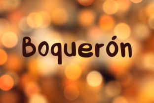 Boquerón Font: A Handwritten Display Typeface for Digital Branding