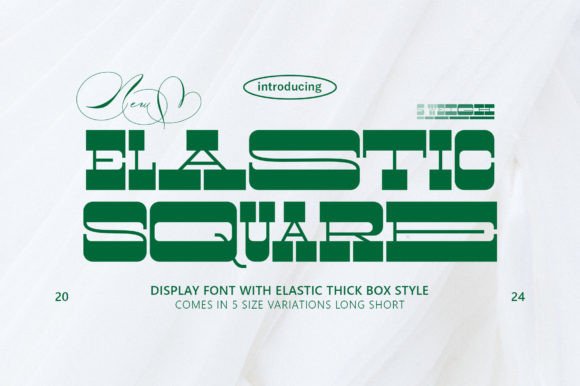 Elastic Square Display Font for Modern Web Design Projects